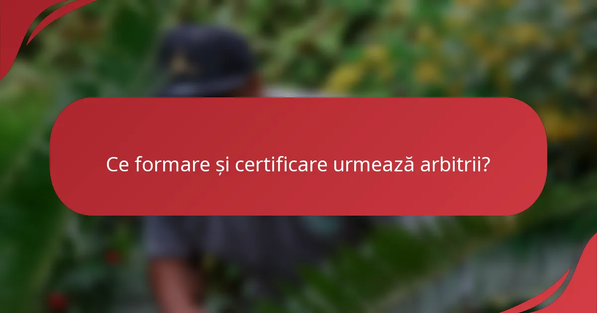 Ce formare și certificare urmează arbitrii?