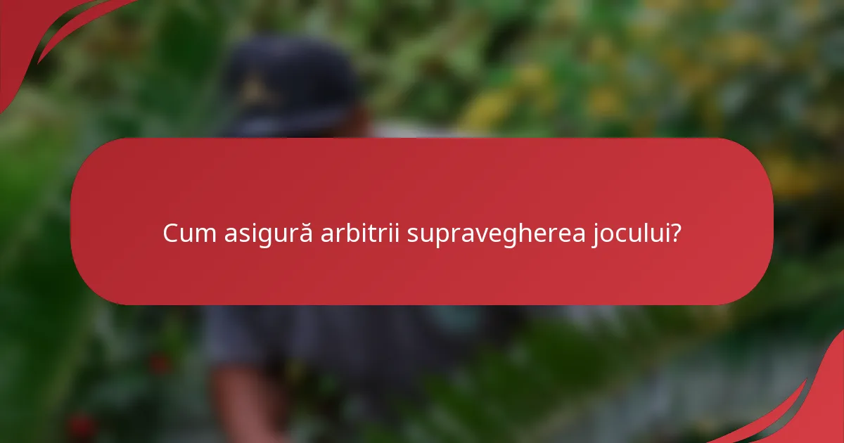 Cum asigură arbitrii supravegherea jocului?